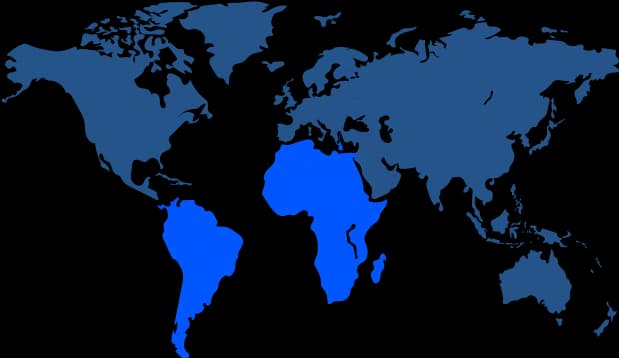 World map